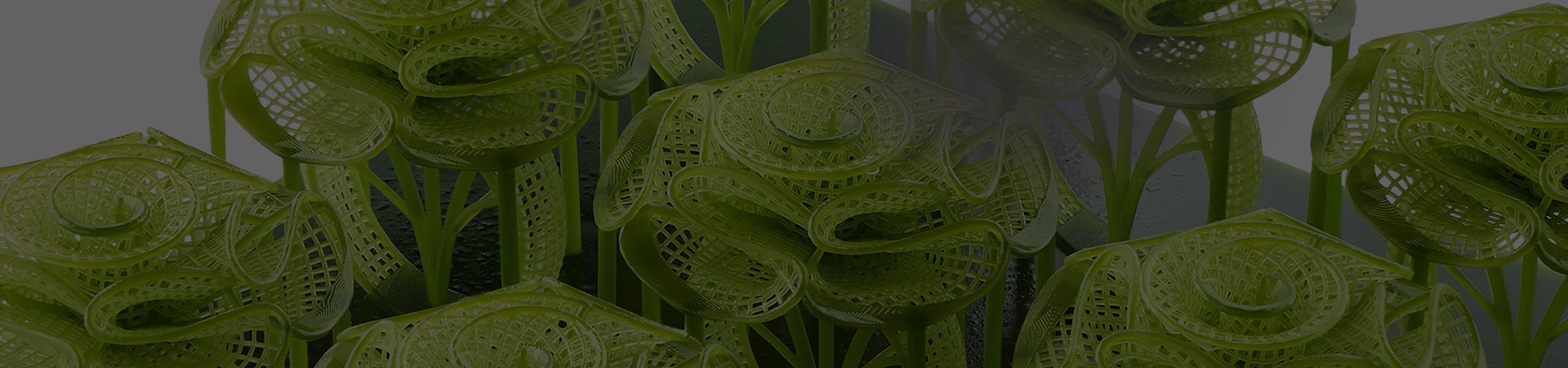 ANYCUBIC3D-IT