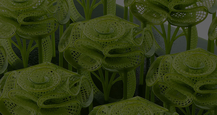 ANYCUBIC3D-IT